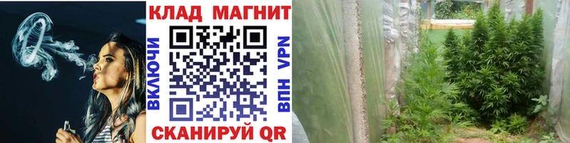 Где купить Черногорск Амфетамин Мефедрон Канабис КОКАИН ОМГ ОМГ как зайти СОЛЬ
