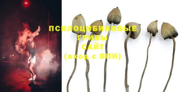 тгк Алзамай