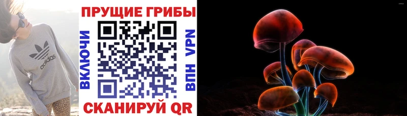 Псилоцибиновые грибы ЛСД  где продают   Черногорск 