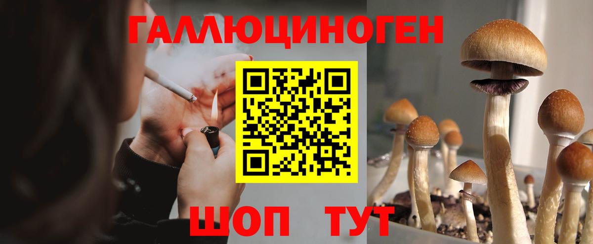 наркошоп  Галлюциногенные грибы мухоморы  Вход с VPN  Черногорск 